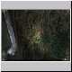Dungeon Siege Screen - 0035.jpg